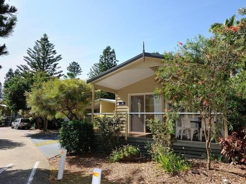 Palm Cabin