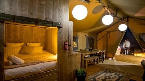 Glamping Safari Tent (Lion)