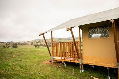 Glamping Safari Tent (Lion)