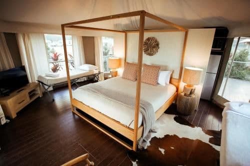 King Safari Tent