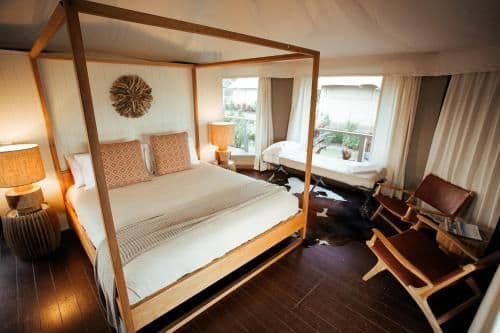 King Safari Tent