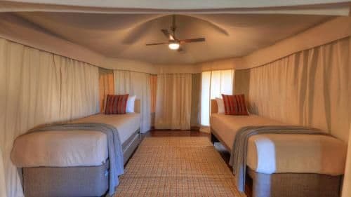Family Safari Tent