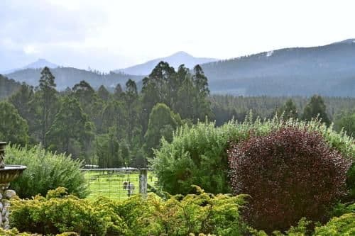 Two-Bedroom Bungalow - Lavender Cabin
