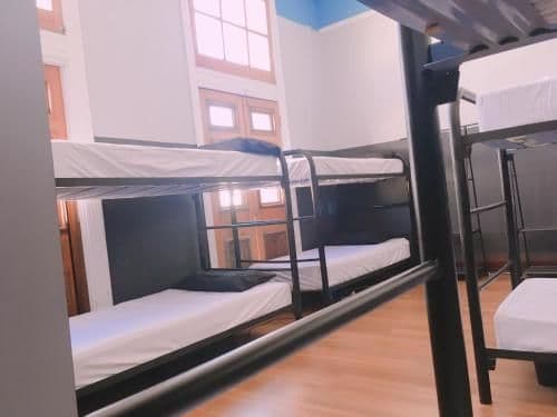 Bed in 8-Bed Mixed Dormitory Room