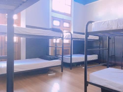 Bed in 6-Bed Mixed Dormitory Room