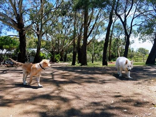 Pet Friendly - Two-Bedroom Family Cottage with Country View
