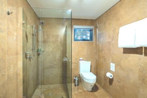 Two-Bedroom King Chalet with Spa