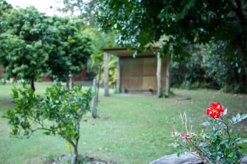 Cottage with Garden View