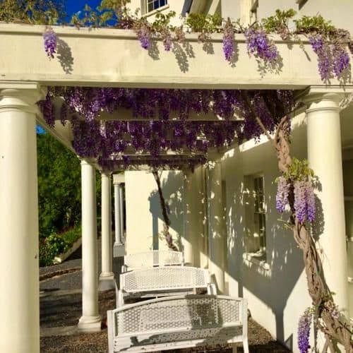 King Suite with Spa Bath and Terrace