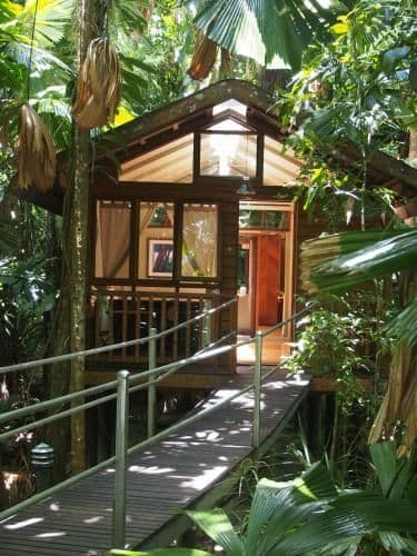 Rainforest Cabin with Balcony