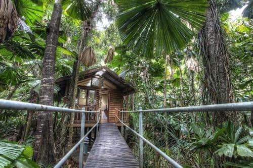 Rainforest Cabin with Balcony