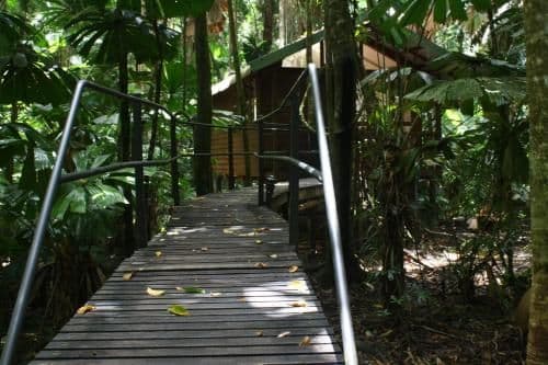 Rainforest Cabin with Balcony