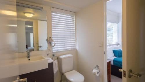 Large One-Bedroom Apartment