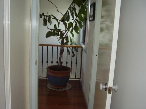 Apartment - Upper Level