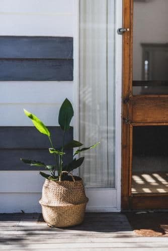 Bondi Studio