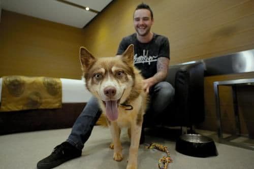 Twin Room - Pet Friendly