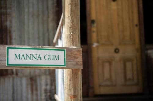 Studio Chalet - Manna Gum