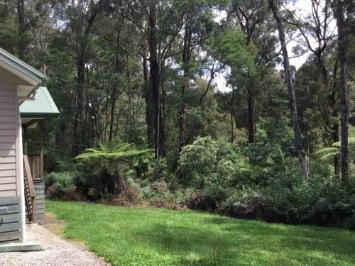 Self-Contained Cottage with Spa Bath - Forestview Cottage