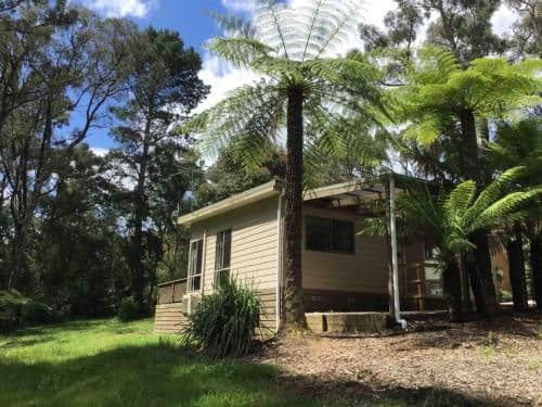 Self-Contained Cottage - Ferntree Cottage