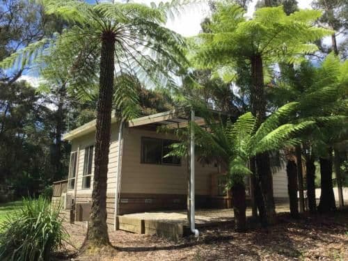Self-Contained Cottage - Ferntree Cottage