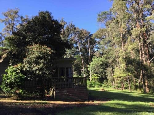 Self-Contained Cottage - Ferntree Cottage