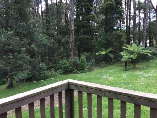Self-Contained Cottage - Ferntree Cottage