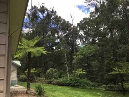 Self-Contained Cottage with Spa Bath - Forestview Cottage