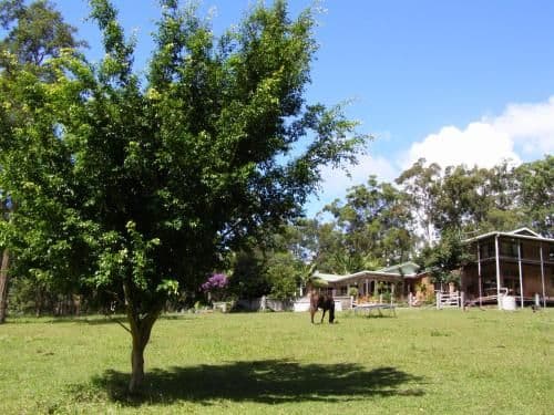 Holiday Home