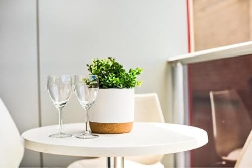 Luxury Apartment