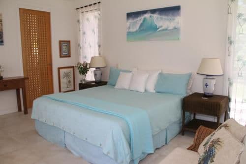 Blue Luxury Double Room