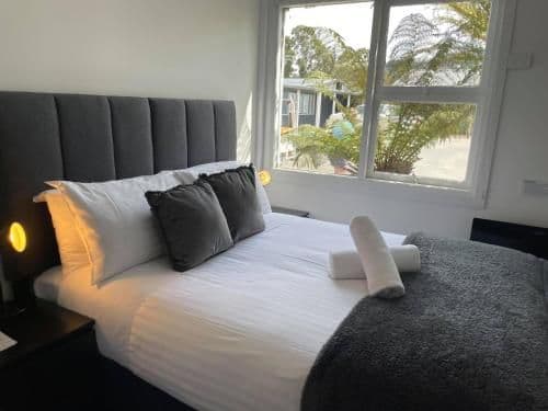 Basic Double Room