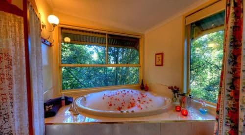 One-Bedroom Cottage - Rainforest Cottage (2 Adults)