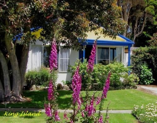 One-Bedroom Cottage