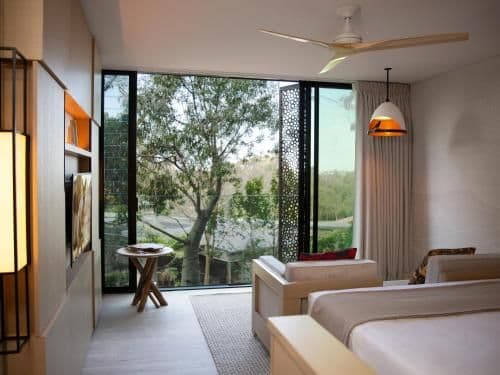 King Room with Bushland View