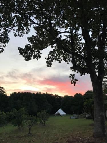 Tent