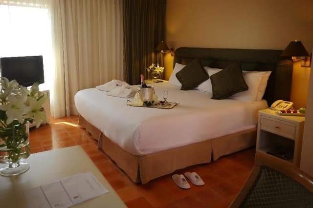 SUITE EXECUTIVE KING BED