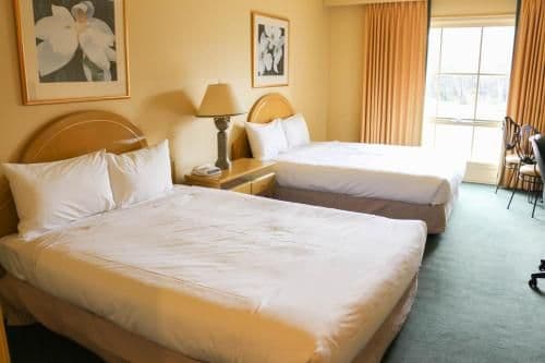Twin Suite