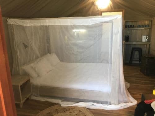 Deluxe Glamping Tent - Safari (2 Guests)