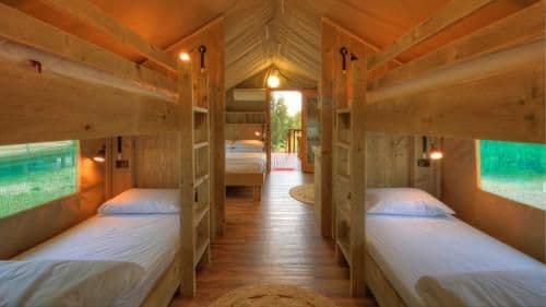 Family Glamping Tent - Safari (6 Guests)