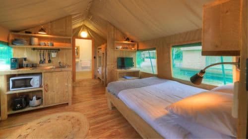 Family Glamping Tent - Safari (6 Guests)