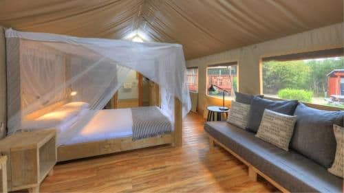 Deluxe Glamping Tent - Safari (2 Guests)