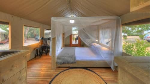 Deluxe Glamping Tent - Safari (2 Guests)