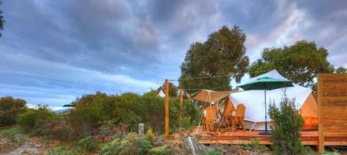 Deluxe Glamping Tent (Adults Only)