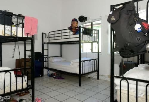 Bed in 8-Bed Mixed Dormitory Room