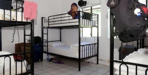 Bed in 8-Bed Mixed Dormitory Room