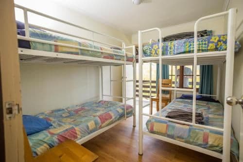4-Bed Mixed Dormitory Room
