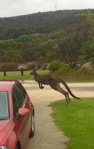 Apartment with River View