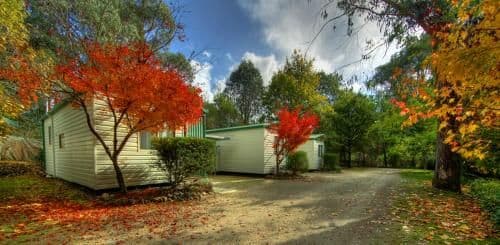 Family Bungalow