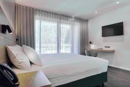 Deluxe King or Twin Room with Terrace