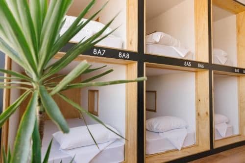 Single Bed in Female Dormitory Room
